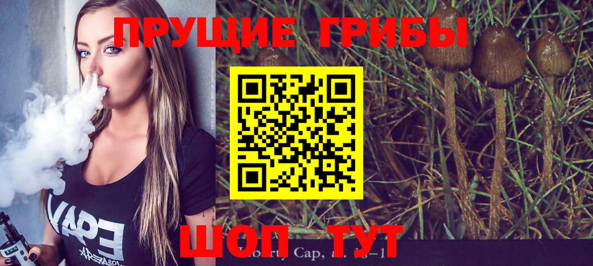 Димитровград  Псилоцибиновые грибы прущие грибы  Вход с VPN 